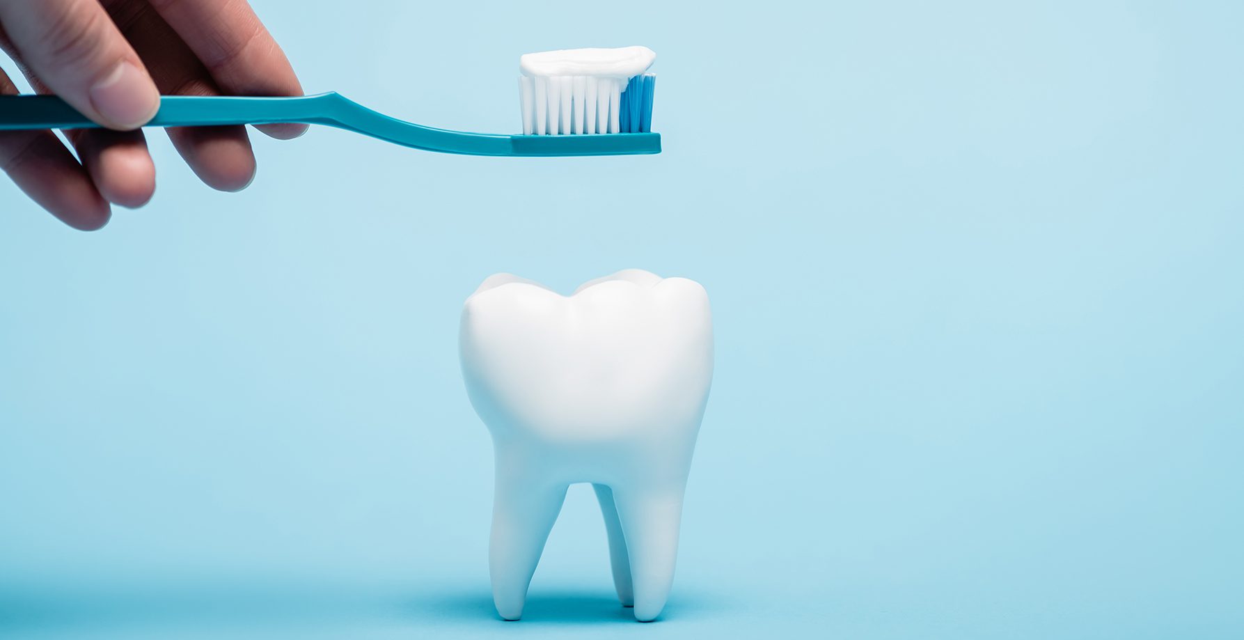 How Long Does A Toothbrush Last? Jon A. Kulesa, DDS